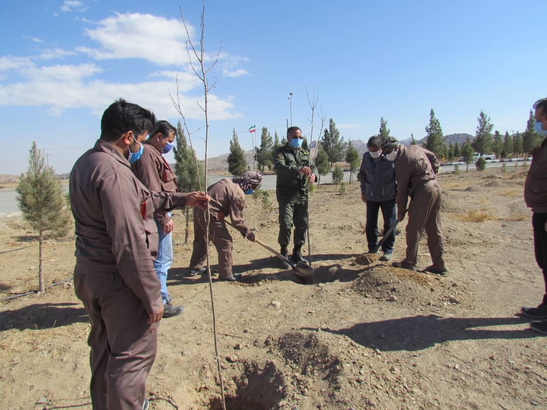به مناسبت هفته منابع طبیعی